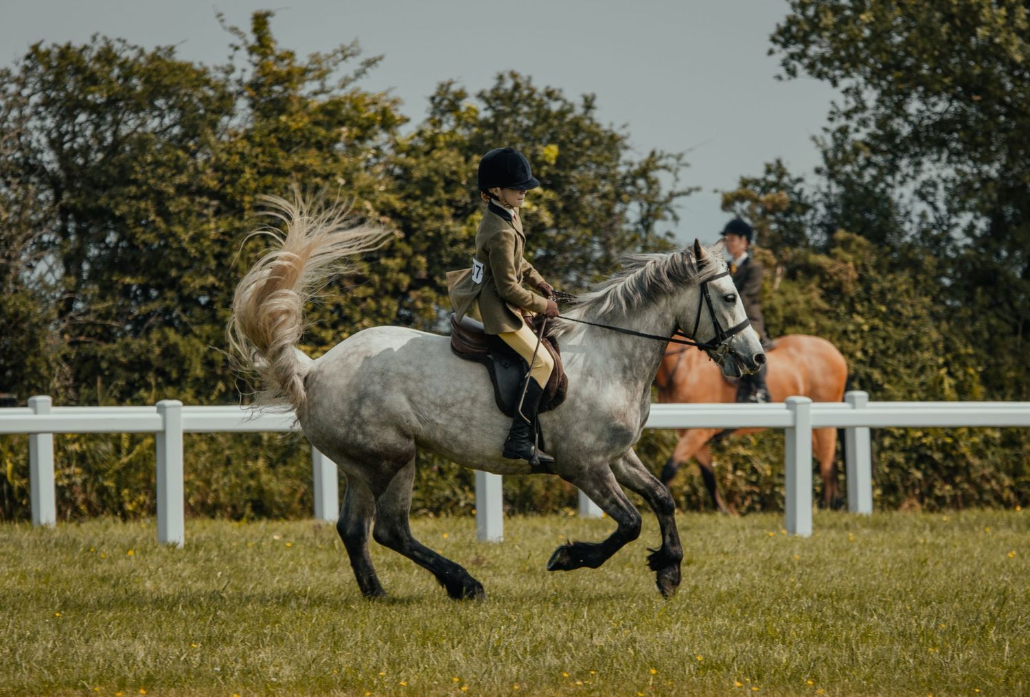 A grey horse and rider in motion at a countryside equestrian event.