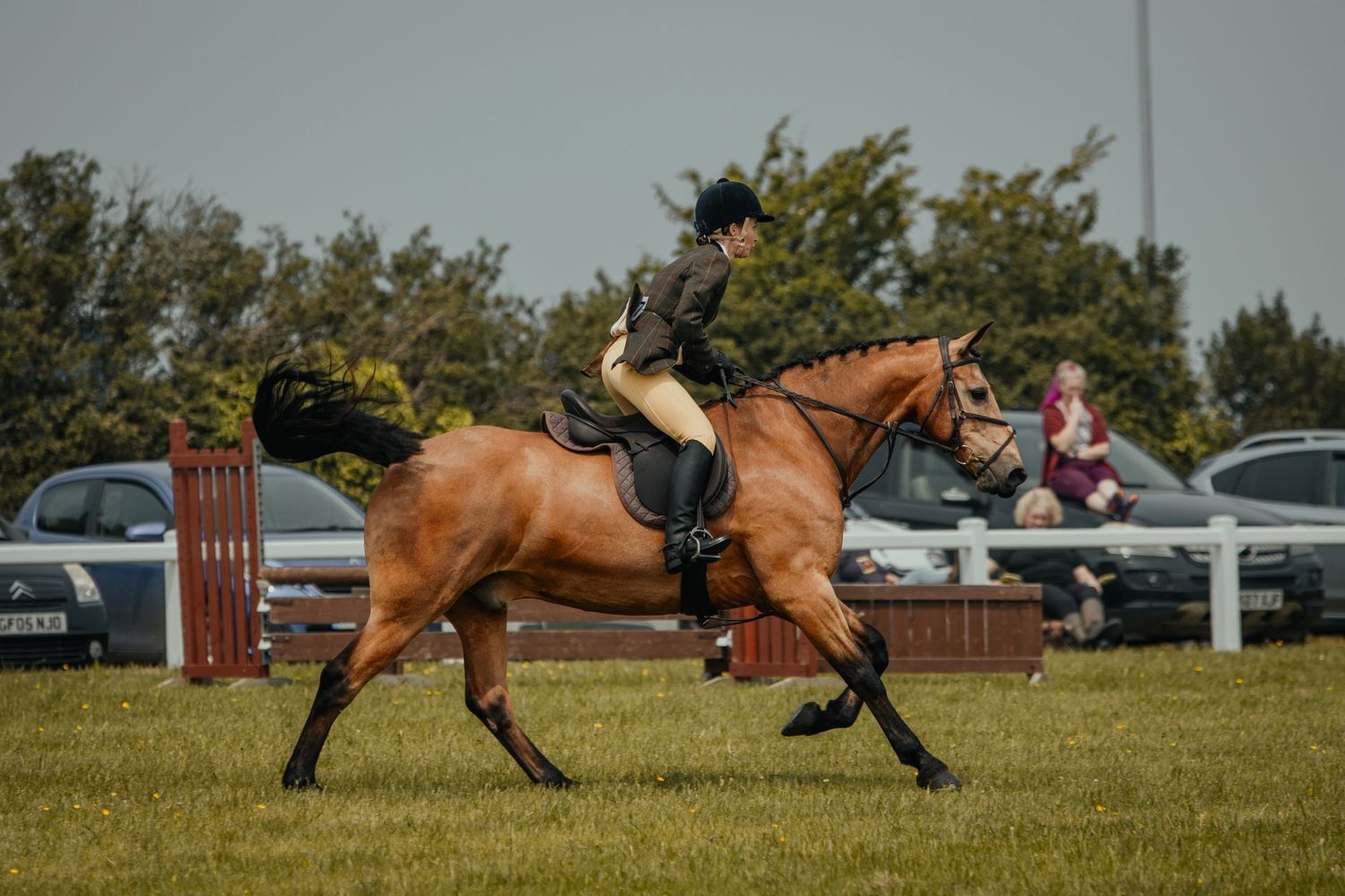 Chestnut horse and rider in action during show jumping competition on grass arena.