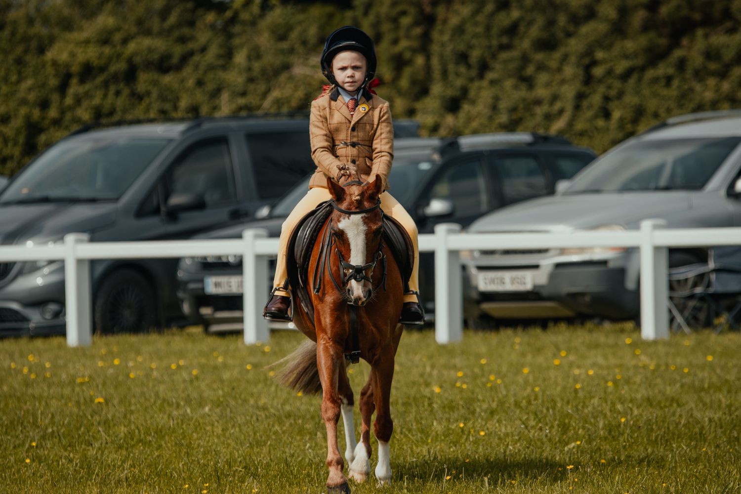 A rider in tan attire sits atop a chestnut horse during an equestrian event with parked cars in background.