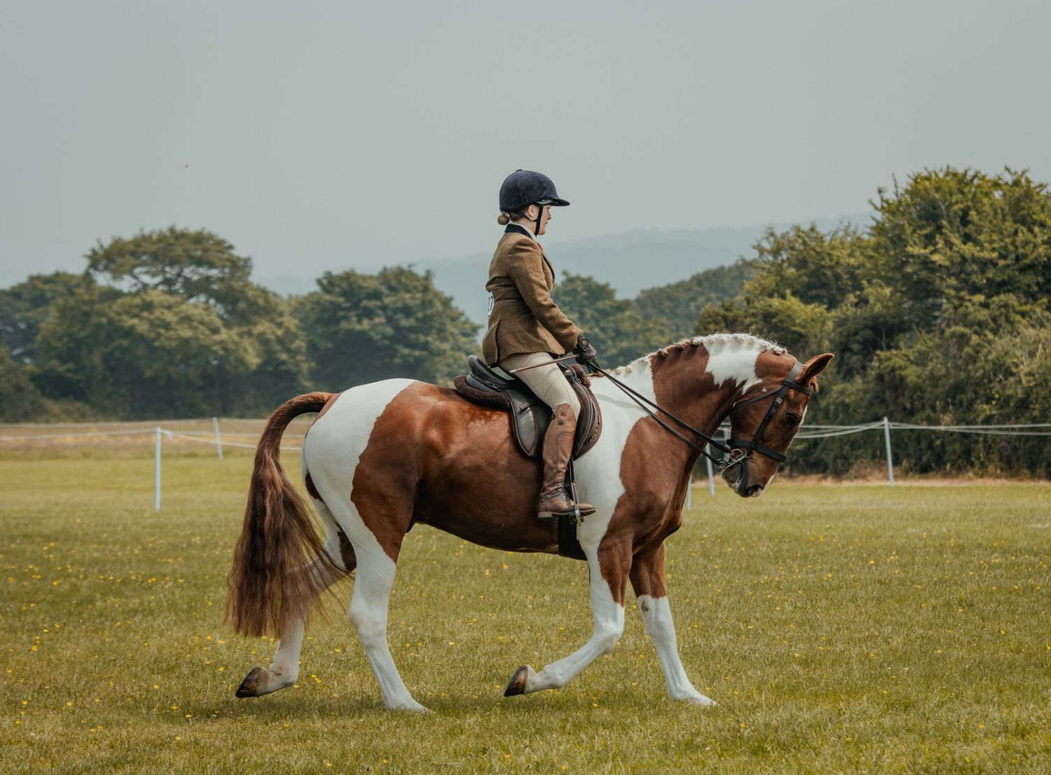 Paint horse and rider in brown jacket performing in outdoor arena during equestrian event.