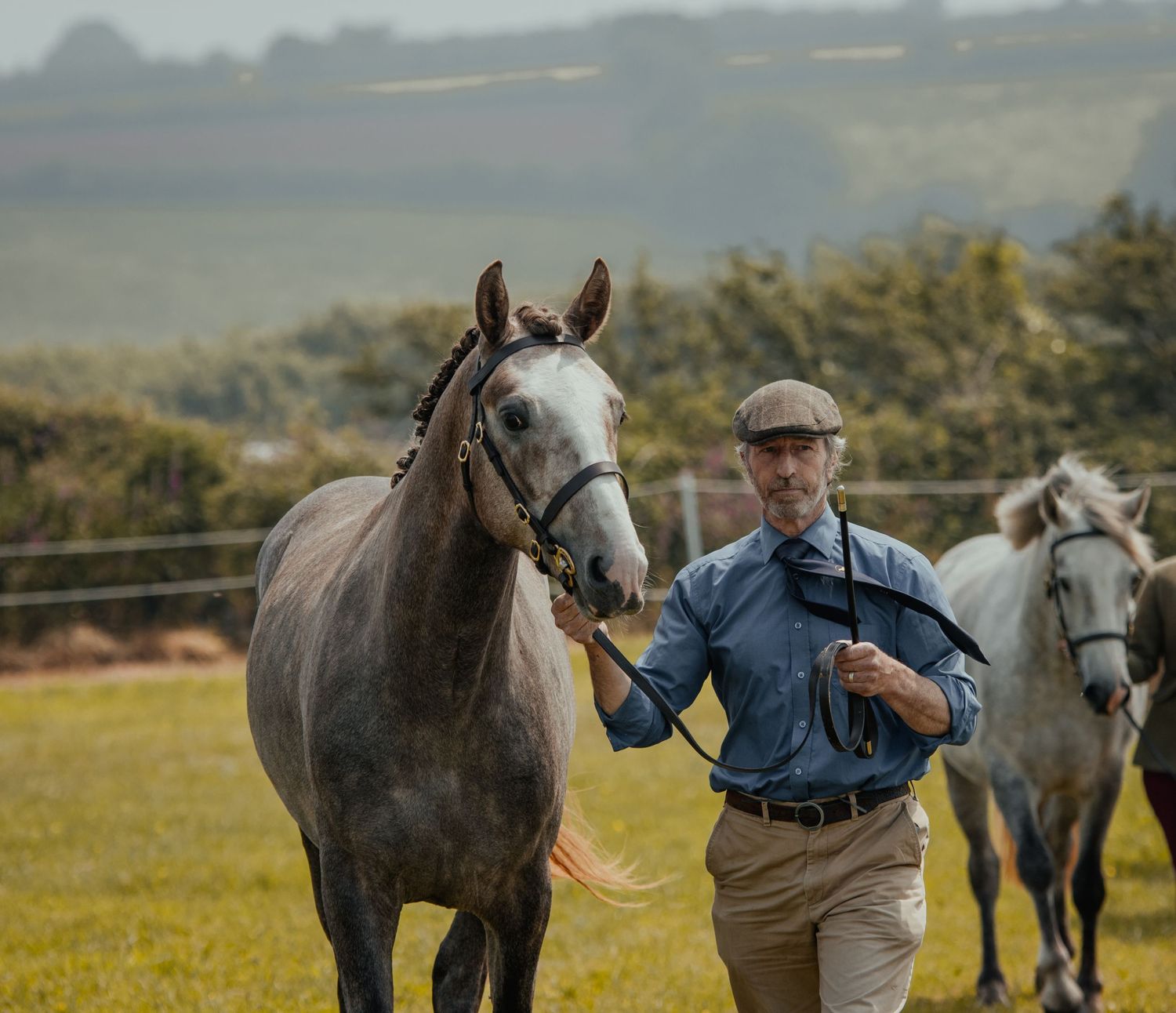 A grey horse being led by a handler in casual attire with other horses in the background.