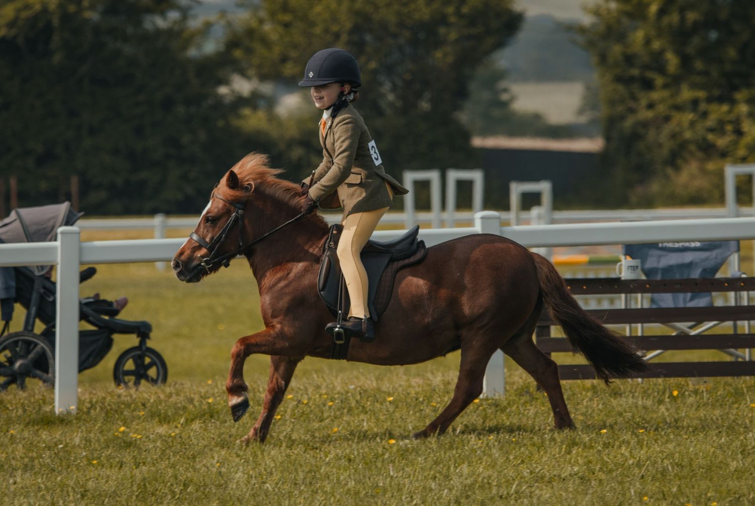 A pony and rider in tan attire trotting gracefully around a fenced arena.