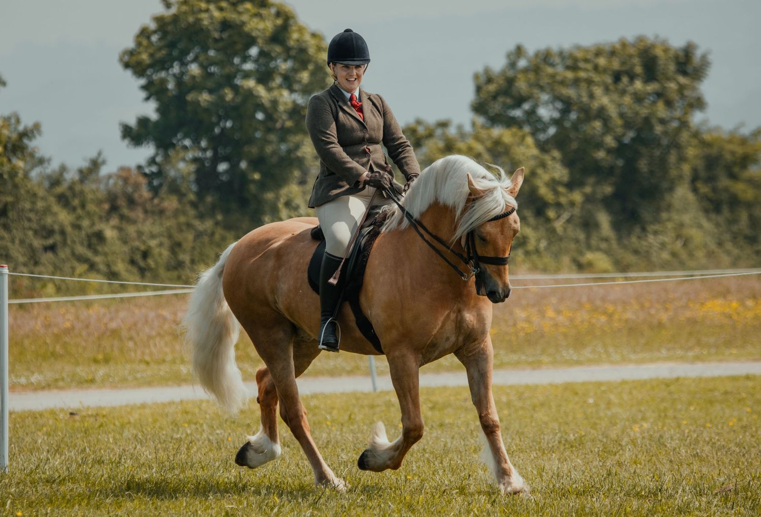 Rider guiding light-colored horse in gentle trot during equestrian competition.