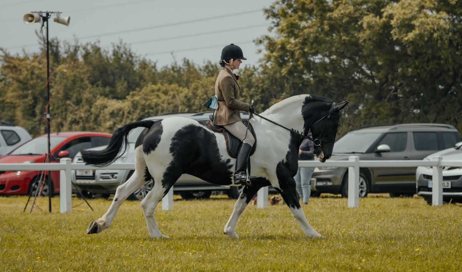 Equestrian rider guiding a dappled gray horse in canter across a grassy field with parked cars in background.