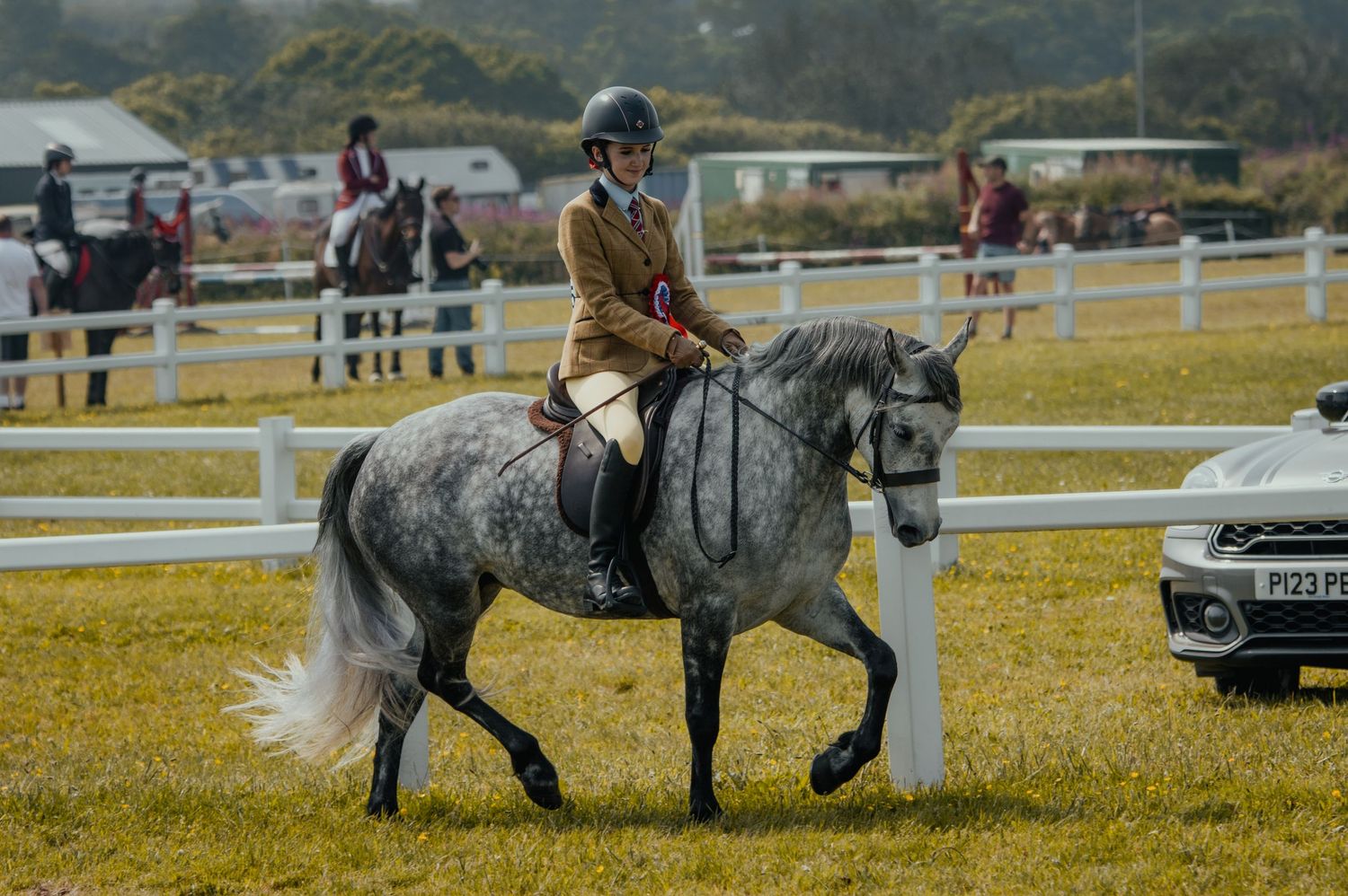 A dappled grey horse performing in an equestrian competition on grass with white fence barriers.
