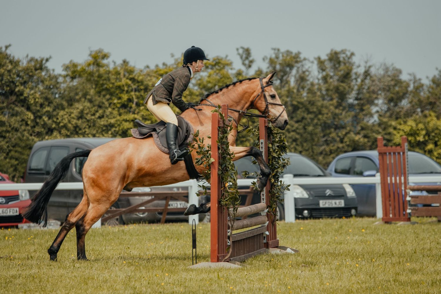 Rider guiding chestnut horse over red and white show jumping fence in outdoor arena.