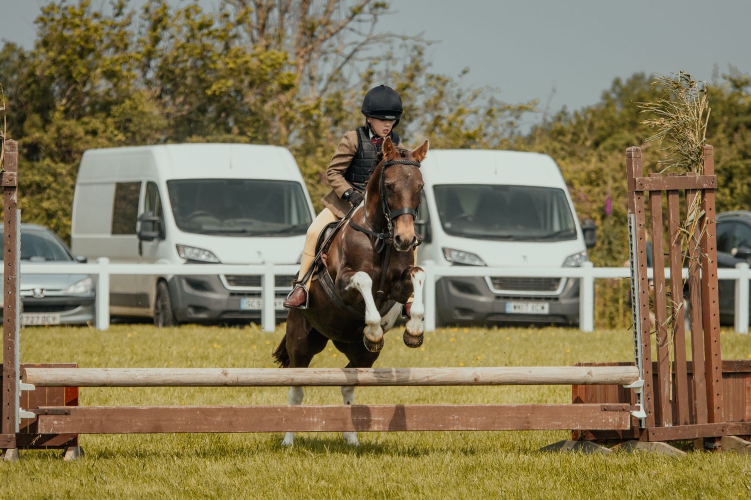 A horse and rider clearing a jump barrier with white vans in the background during competition.