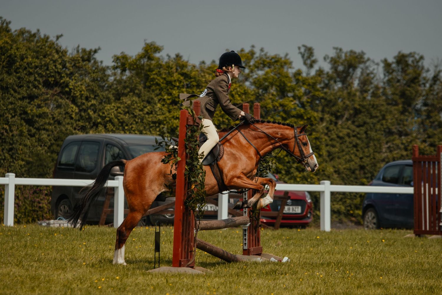 Equestrian rider jumping over a red and white show jumping fence on a chestnut horse in an outdoor arena.
