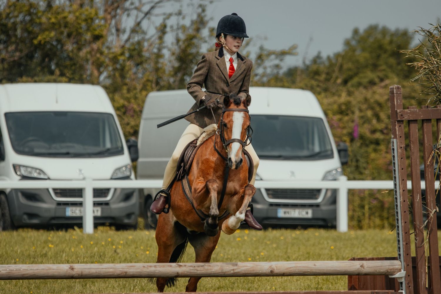 A chestnut horse approaching a jump with visible white vans in the background during competition.