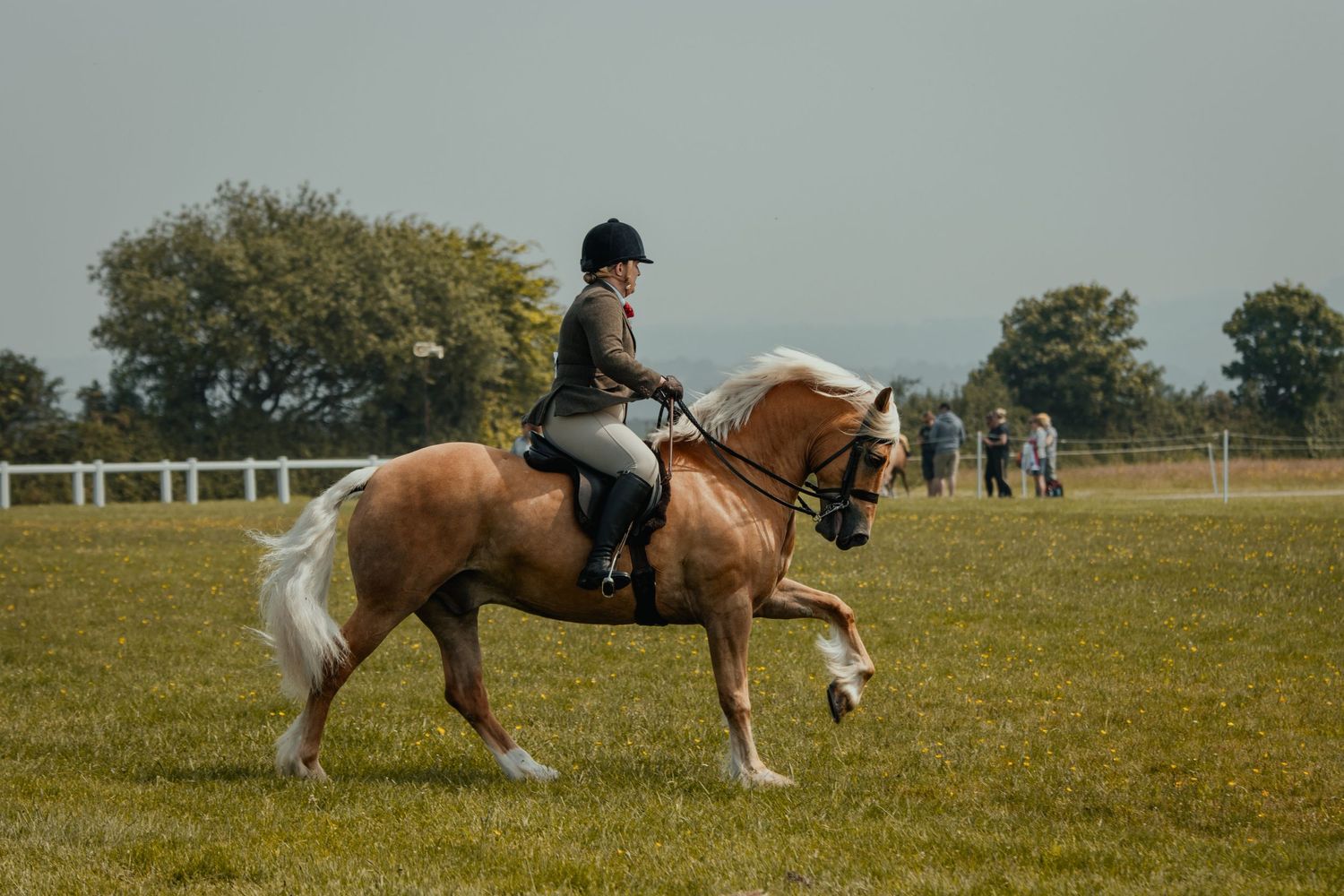 Equestrian competing on paint horse in outdoor arena with white perimeter fencing.
