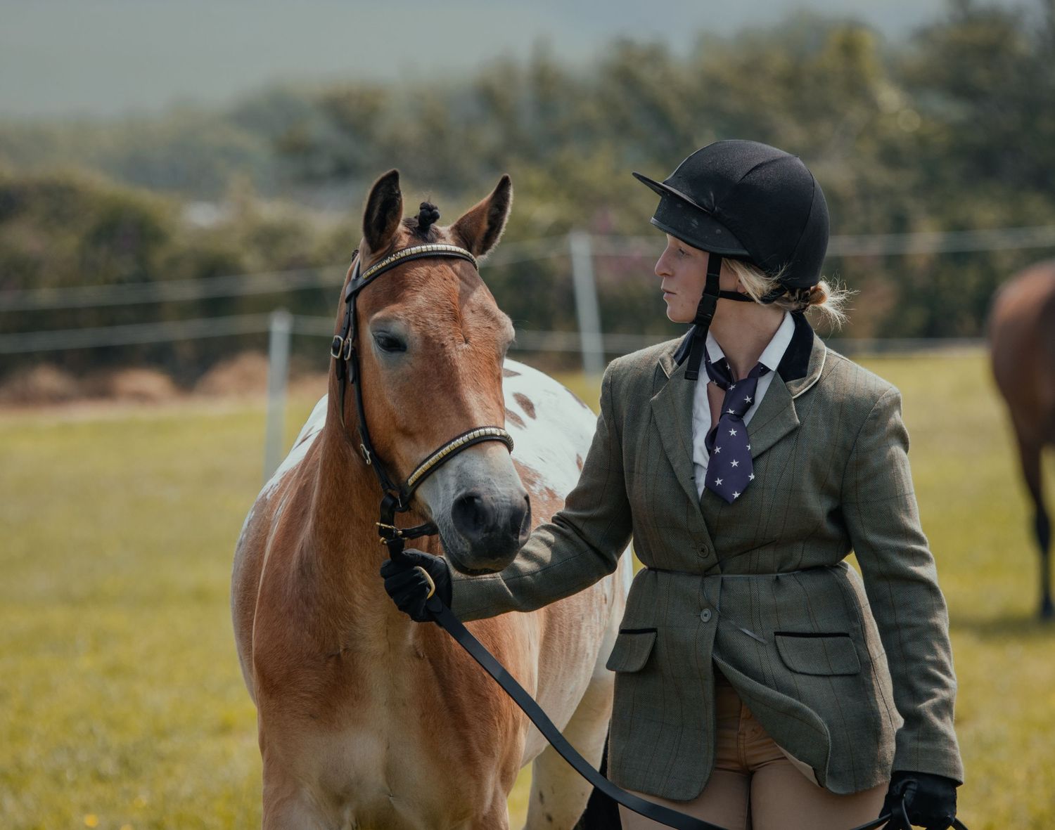 A chestnut horse with bridle being presented at a formal equestrian event.