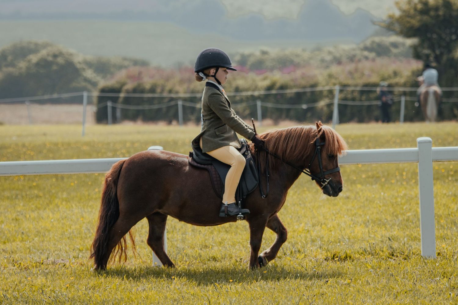 A rider in proper equestrian attire trots on a brown pony in a grassy field with white fencing.