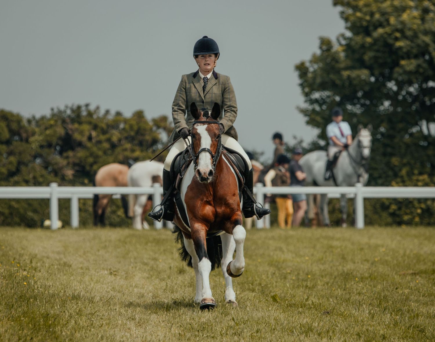 Rider in formal attire aboard paint horse during equestrian show.