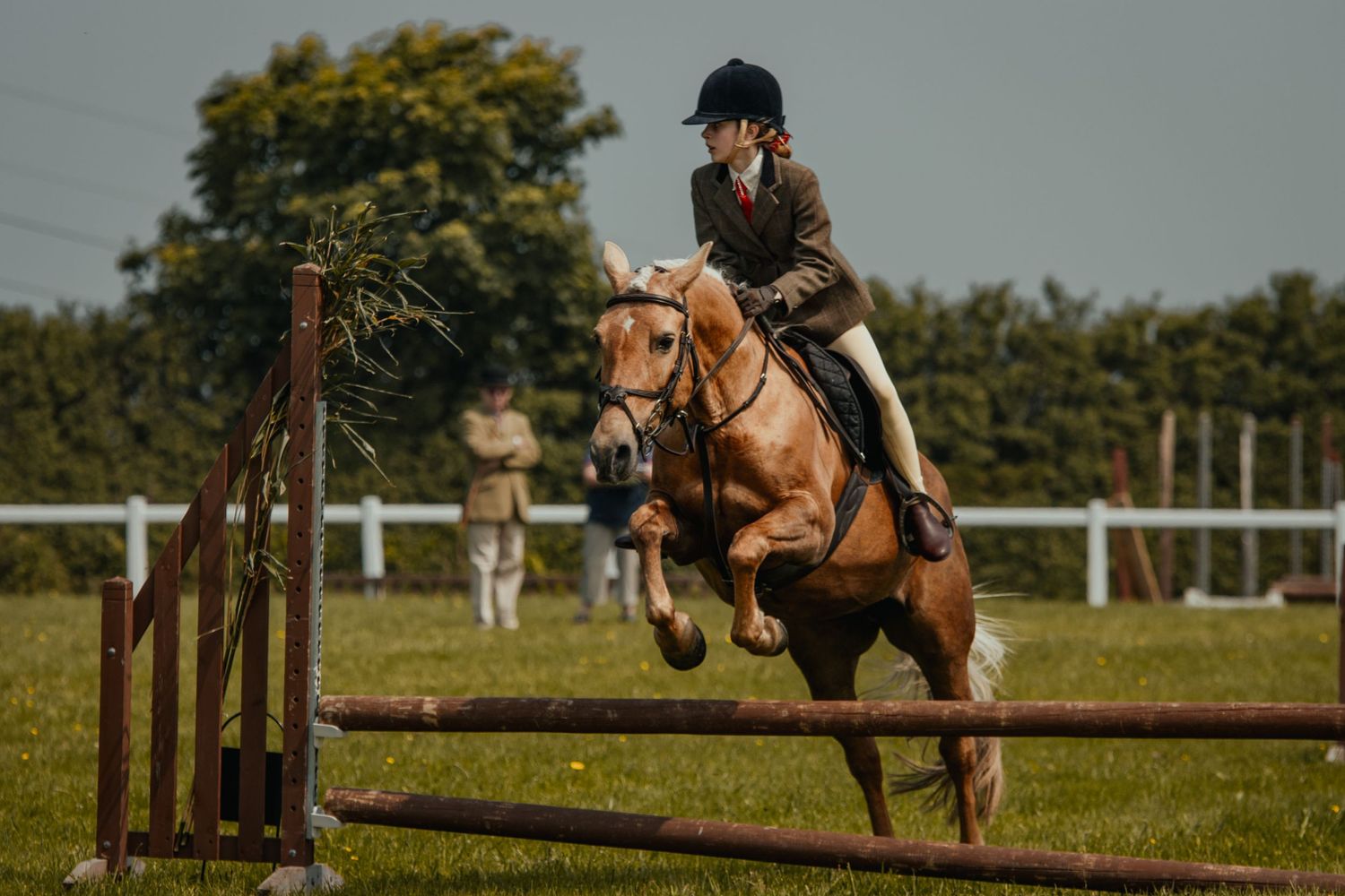 Show jumper and chestnut horse clearing a fence during equestrian competition.