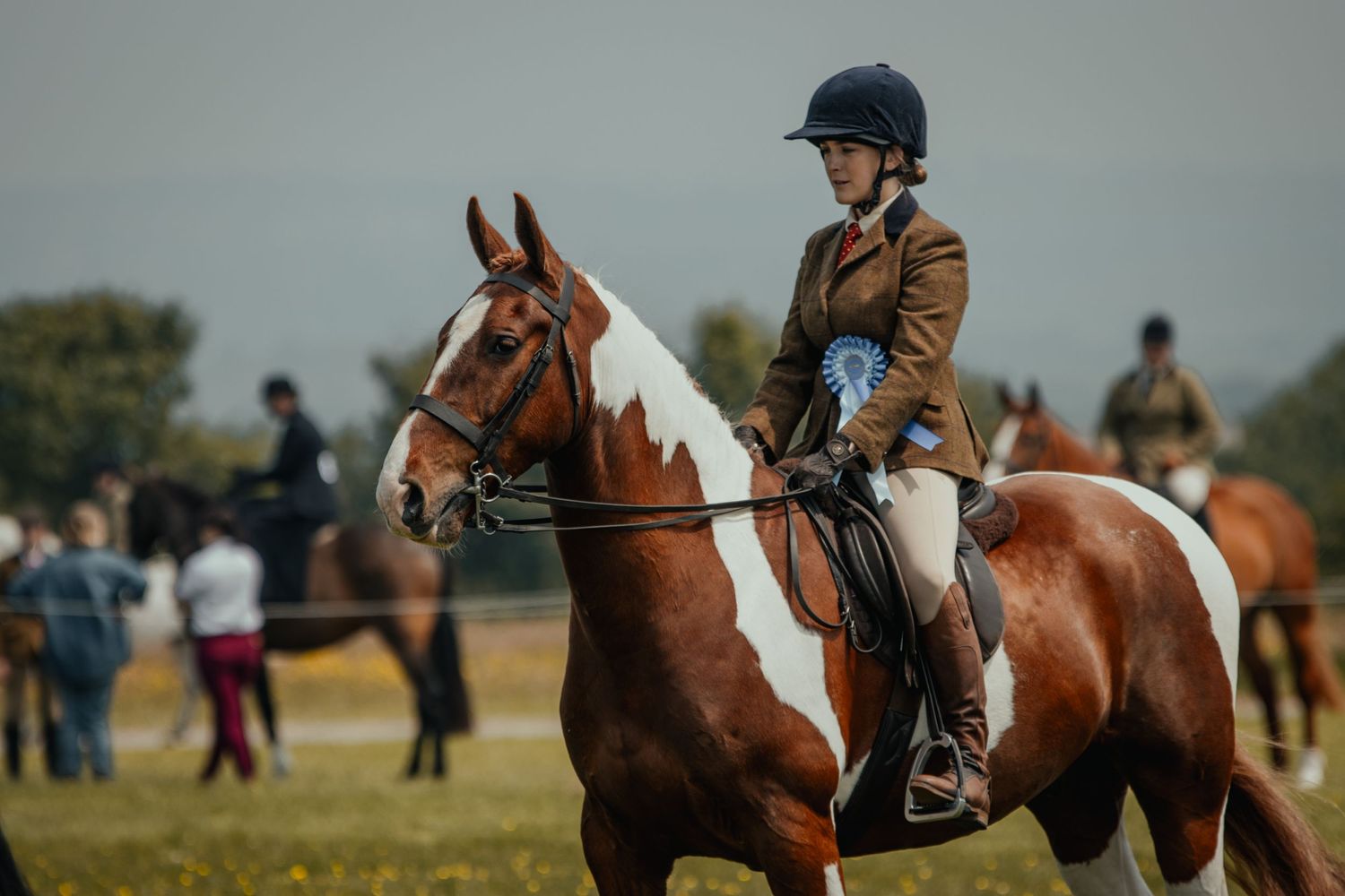 An equestrian rider in a competition jacket riding a chestnut and white paint horse in an outdoor arena.