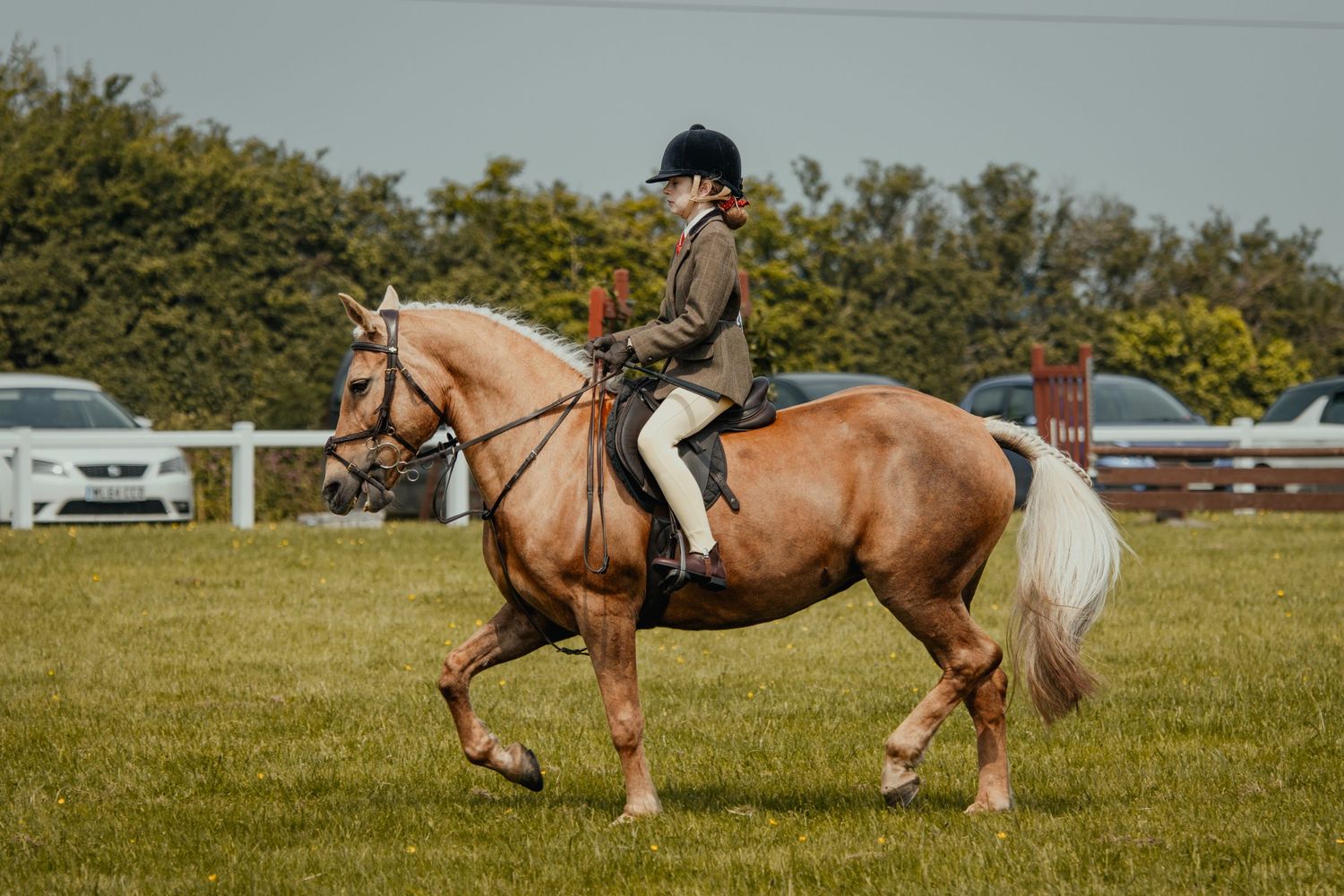 A chestnut horse with flaxen mane being ridden in an outdoor show ring.