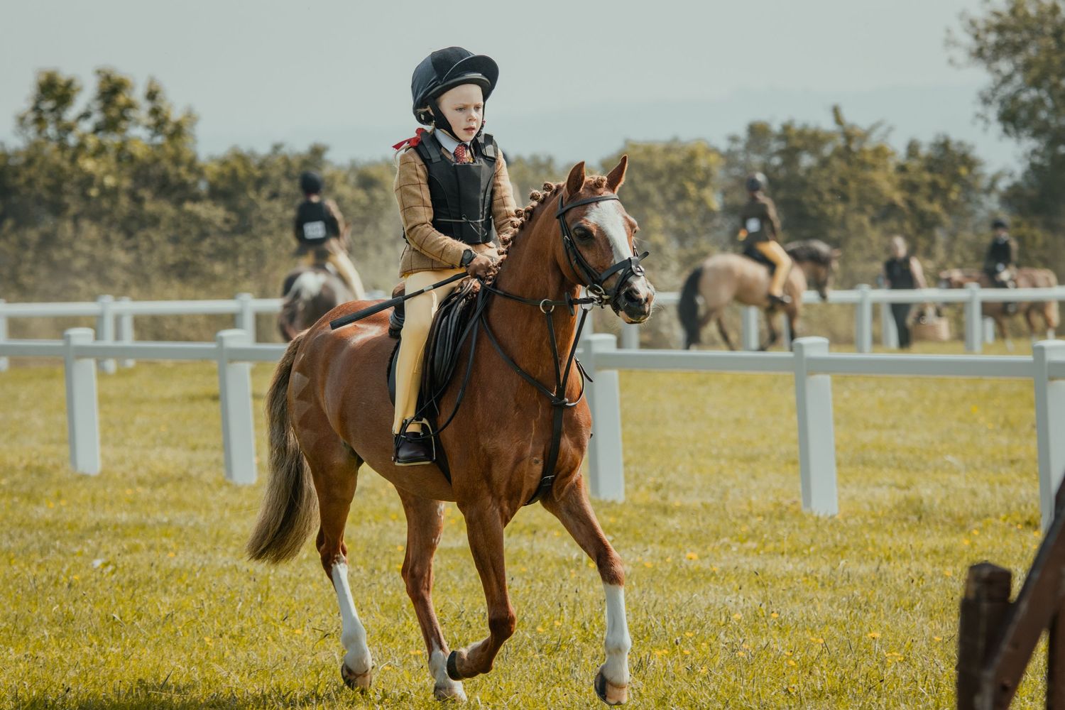 A chestnut pony and rider performing in a sunny outdoor riding arena.