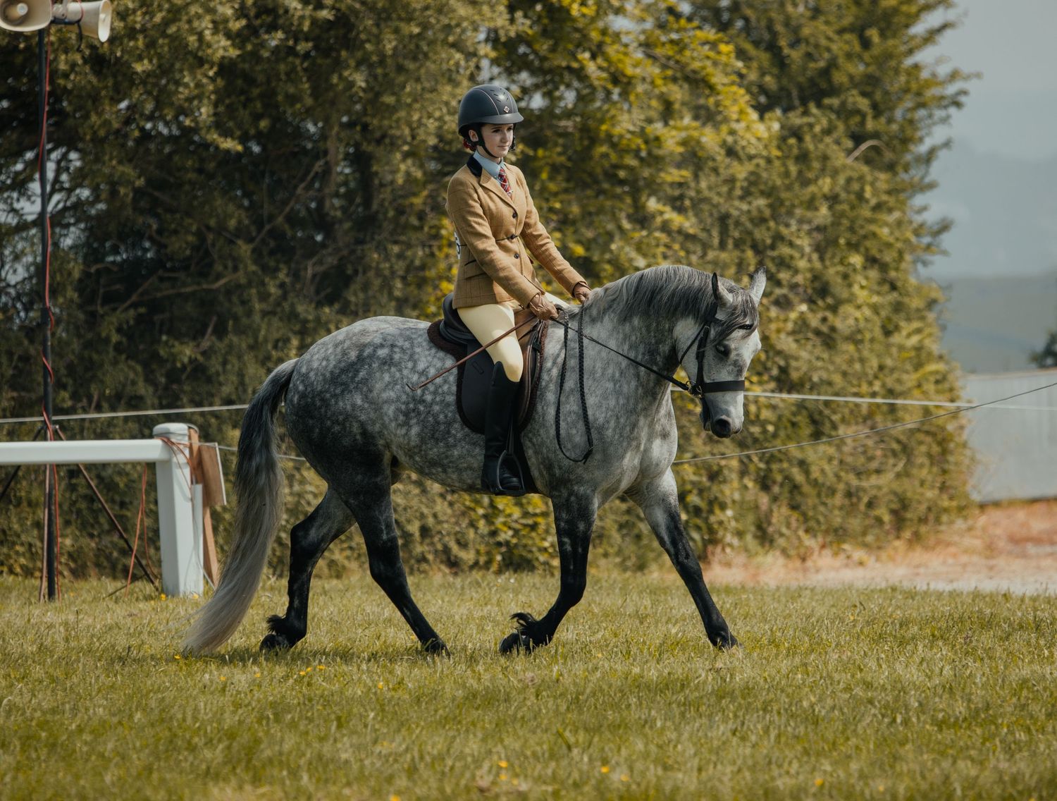 Rider on dappled grey horse performing elegant dressage movements in grassy arena.