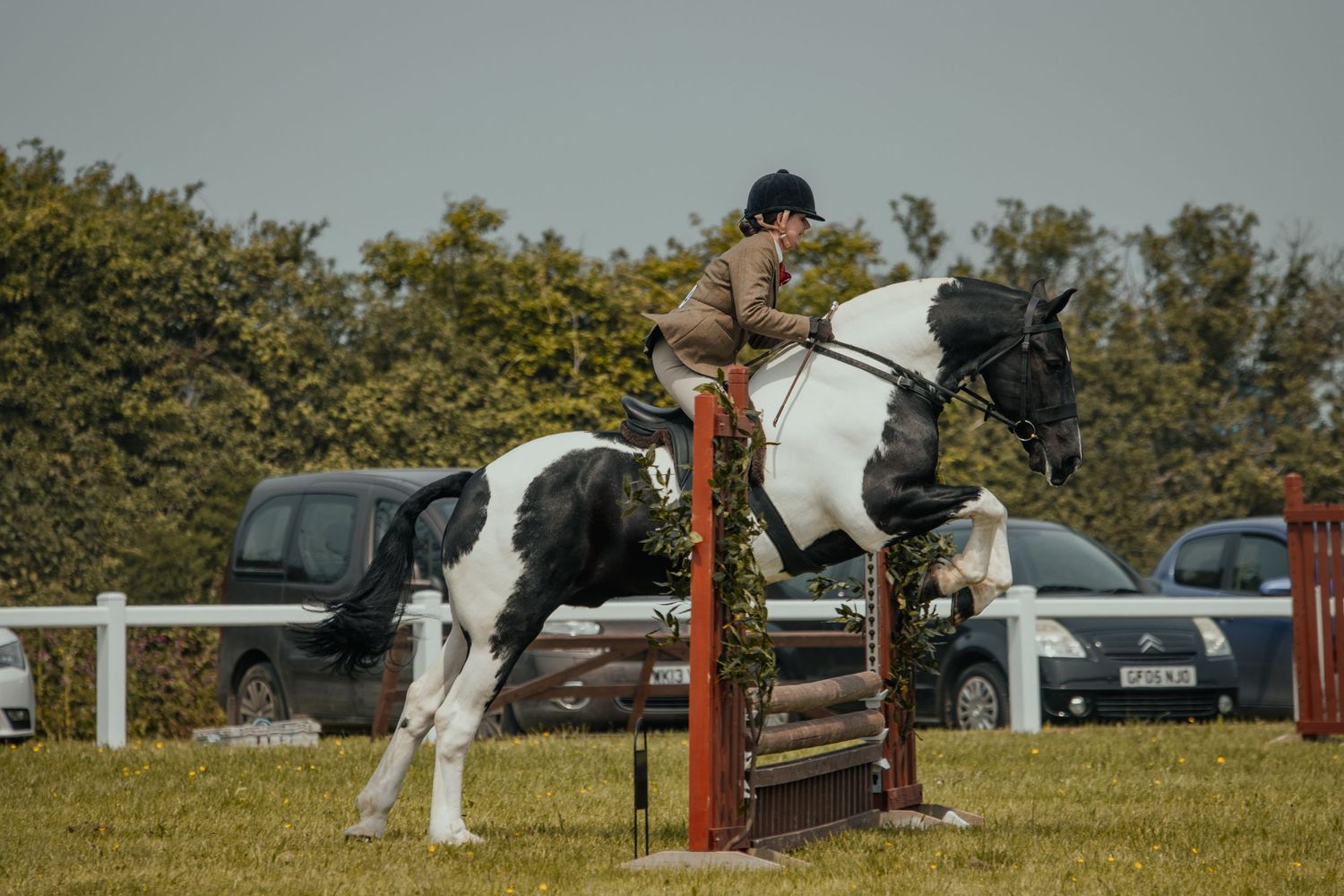 A black and white horse clearing a jump in an outdoor arena.