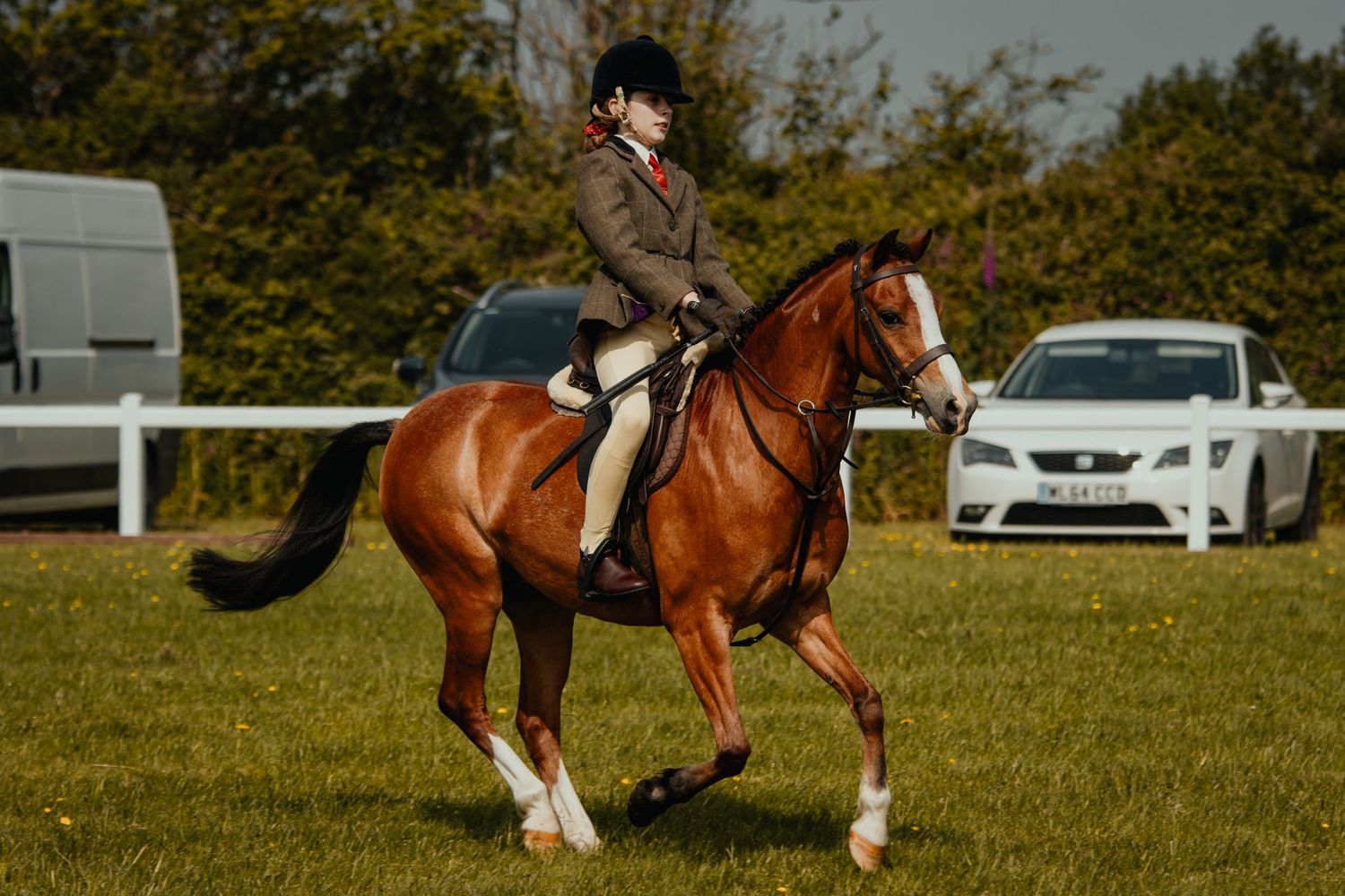 A bay horse and rider performing dressage movements in a sunny outdoor arena.