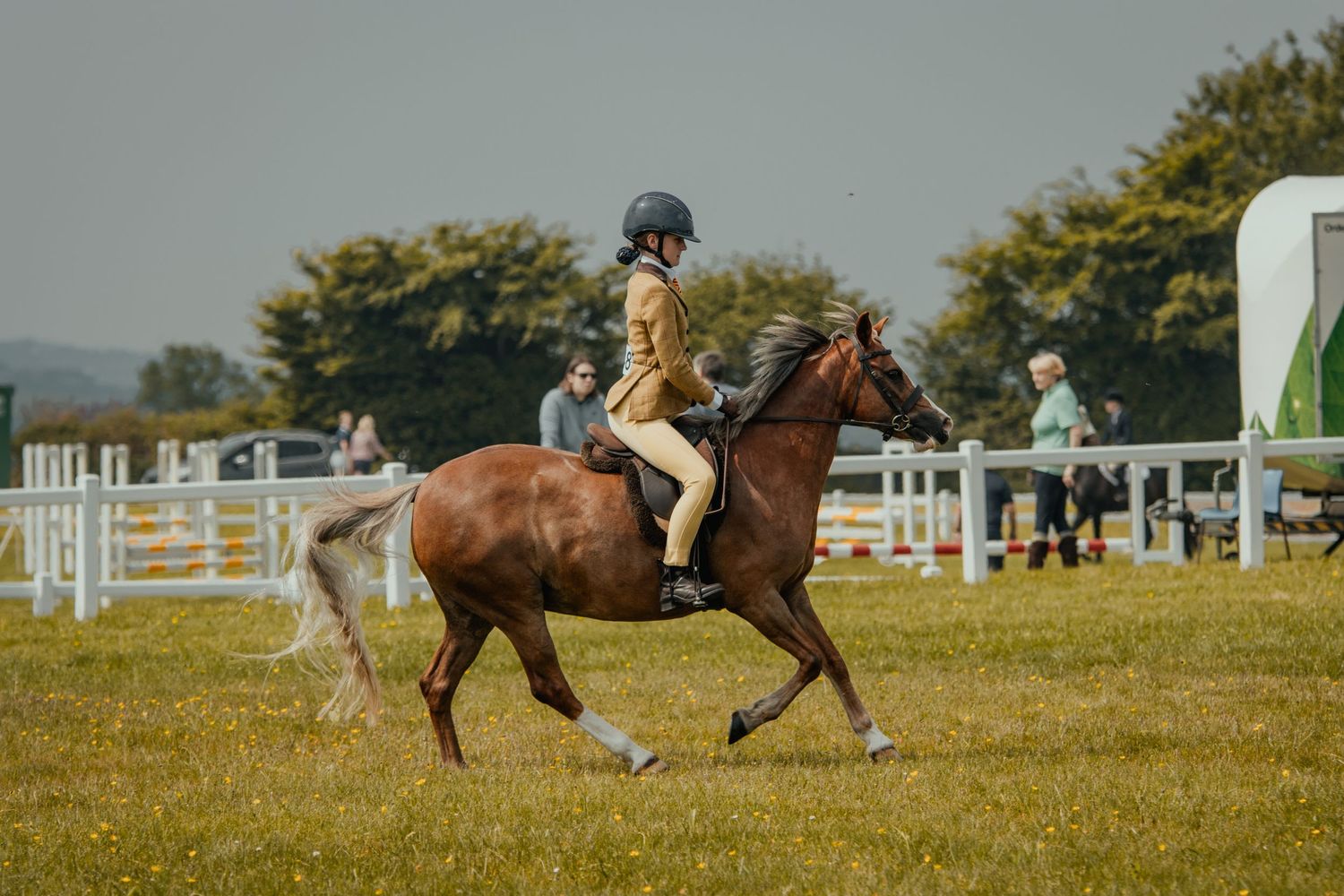 A chestnut horse canters gracefully with its rider across a sunny grass field during competition.