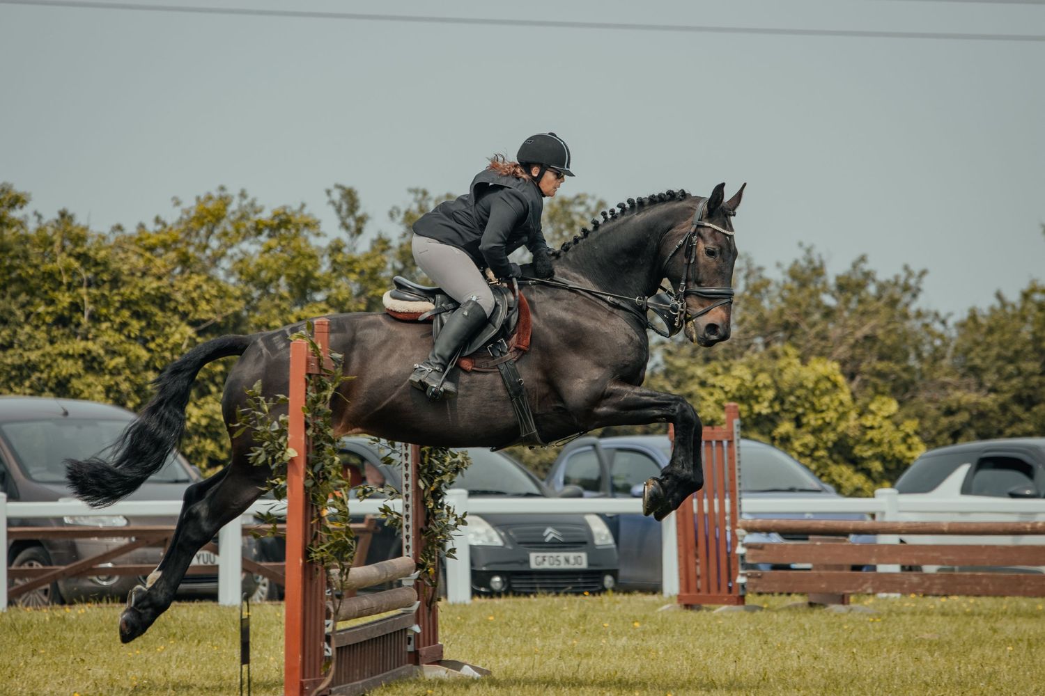 Dark horse and rider clearing substantial show jumping fence with parked cars visible in background.