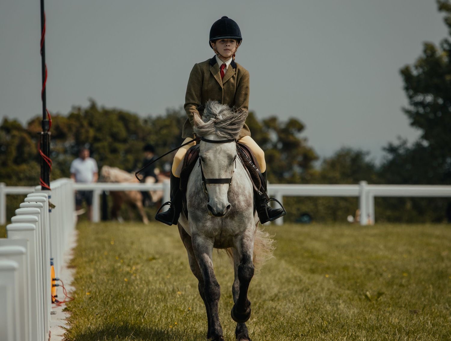 Rider on grey horse jumping over white fence posts in outdoor competition ring.