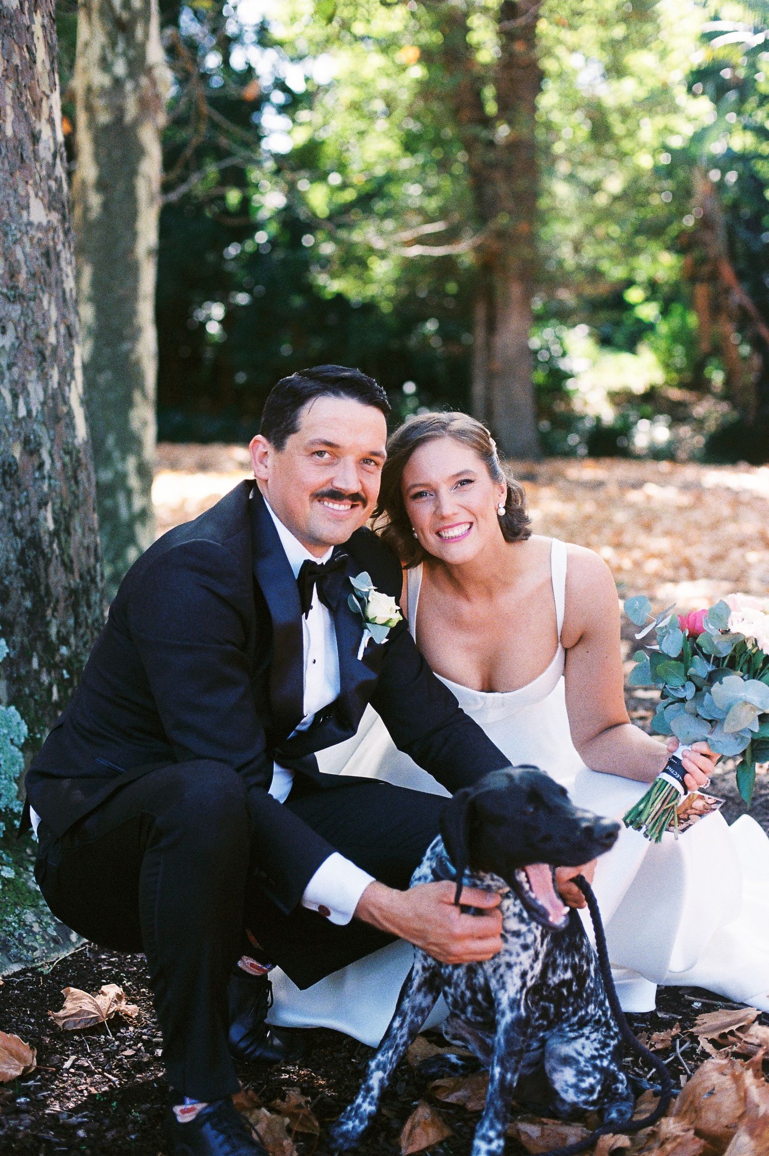 Bride and groom in wedding attire crouching with a spotted dog in a wooded outdoor setting.