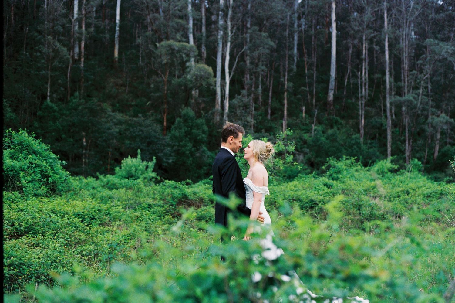 A series of photos showing children playing and exploring in a lush green forest setting during summer.