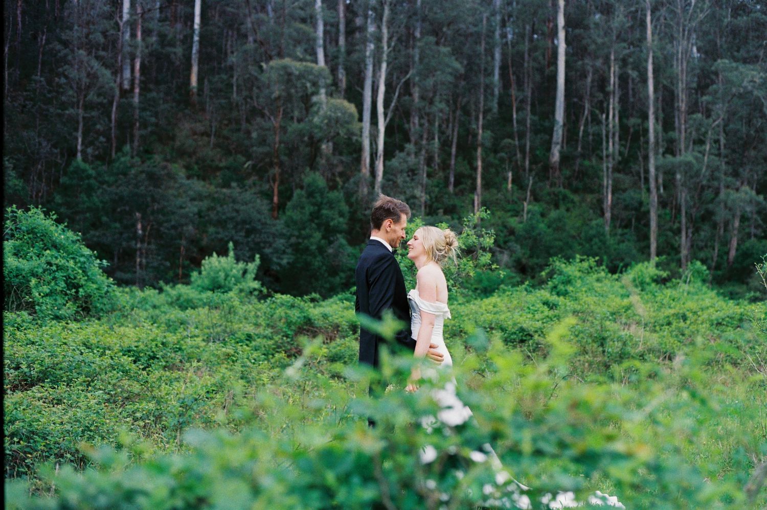 Two people share a romantic kiss while standing in a lush green forest setting with tall trees in the background.