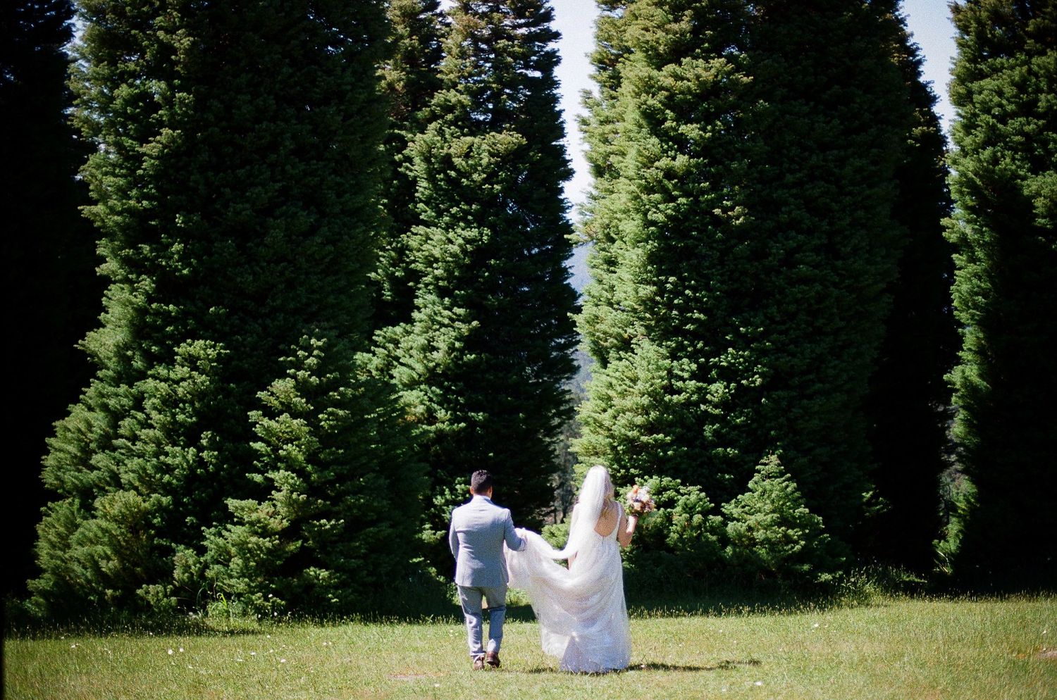 Bride and groom walking hand in hand through a lush green garden lined with tall cypress trees on their wedding day.