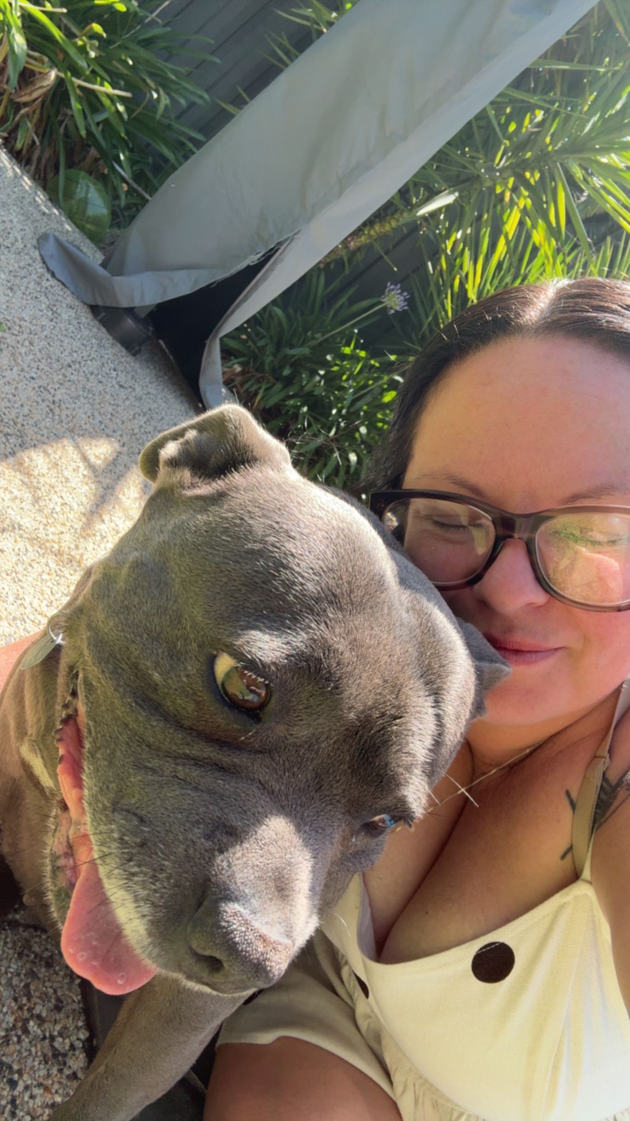 A gray pit bull snuggles close and gives affectionate kisses in a series of sweet outdoor photos.