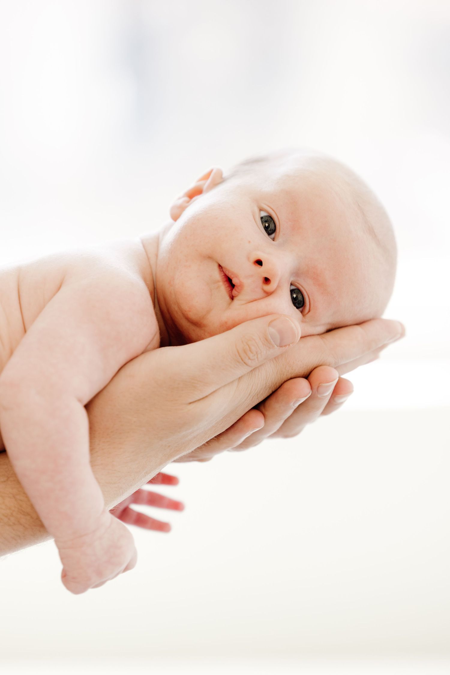 Newborn baby gently cradled in adult hands against a soft white background.