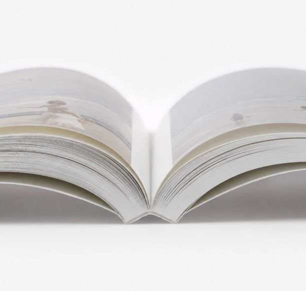 Open book with white pages lying flat, showing spine and pages fanned out on a white surface.