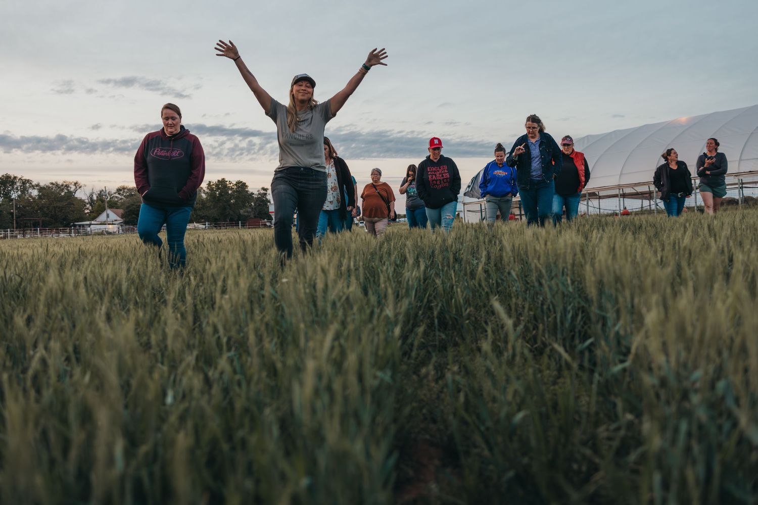 People walking through a tall wheat field at sunset with mountains in the background.