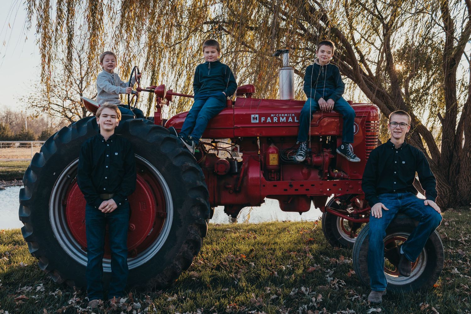 Group poses on vintage red Farmall tractor at sunset under weeping willow trees.