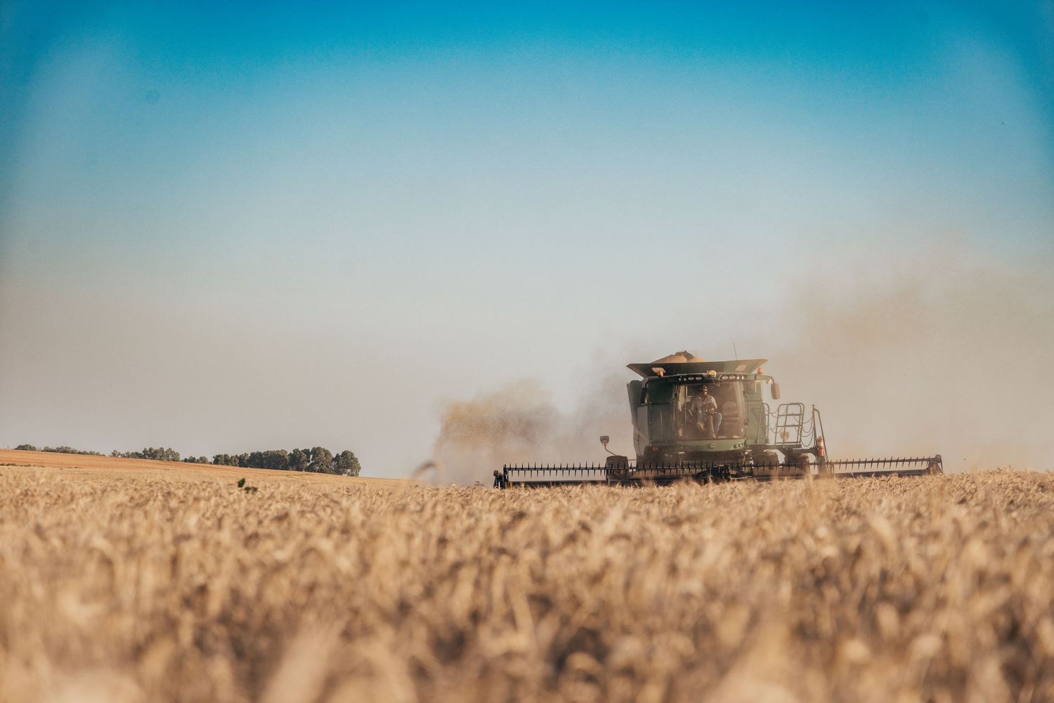 Aerial panoramic view of combine harvesters working in golden wheat fields during harvest season.