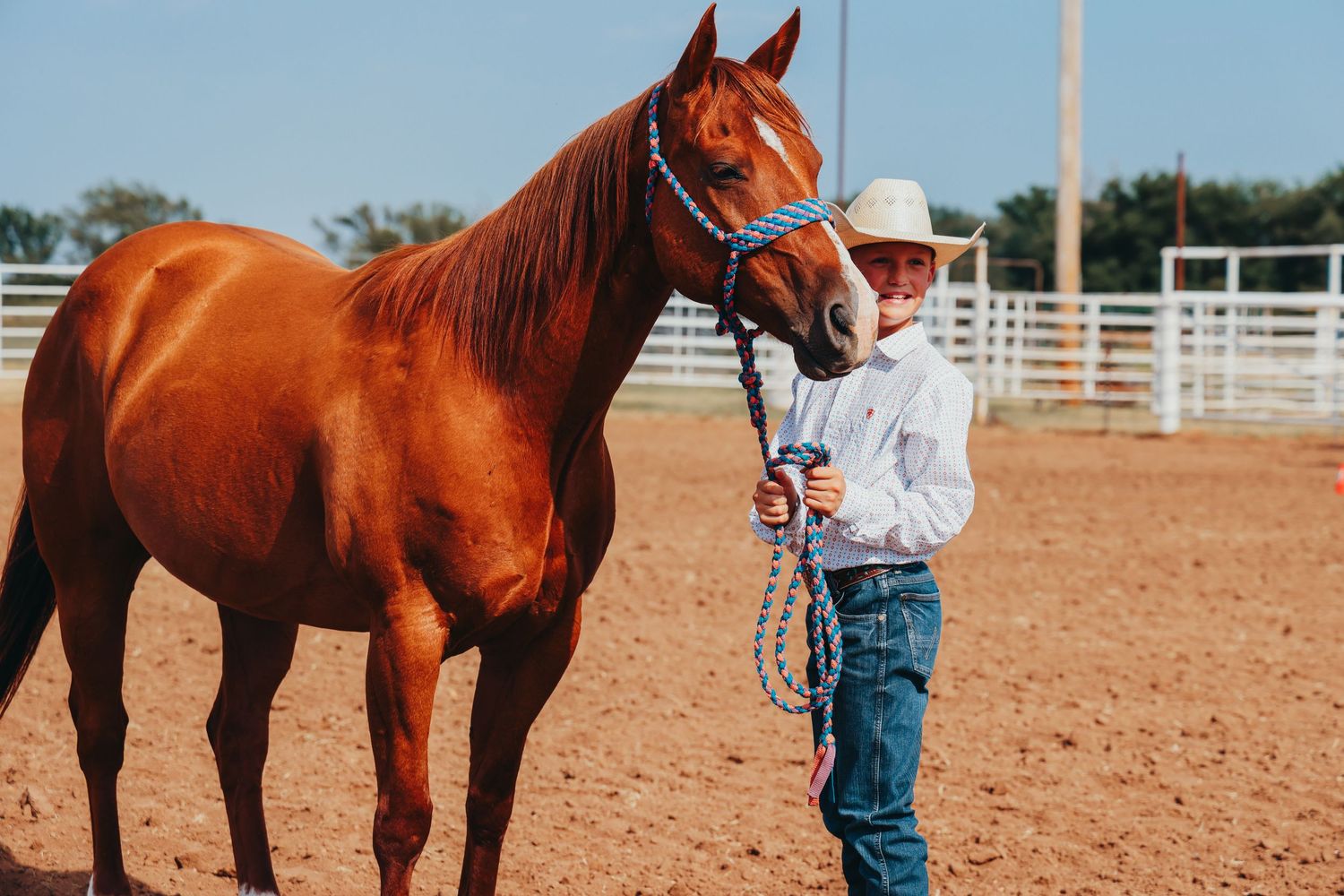 A chestnut-colored horse with halter stands in a dusty arena with handler wearing cowboy attire.