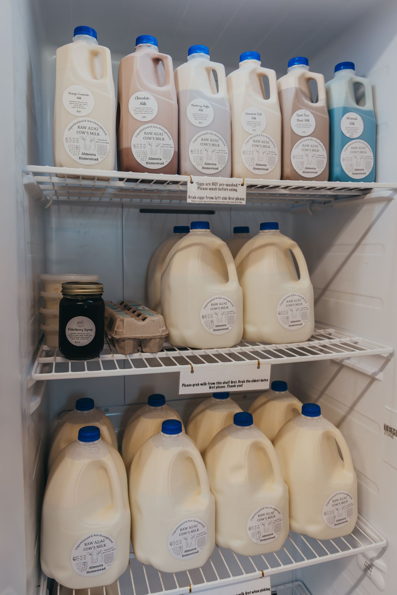Rows of glass milk jugs and bottles lined up on white wire refrigerator shelves showing dairy farm retail display.