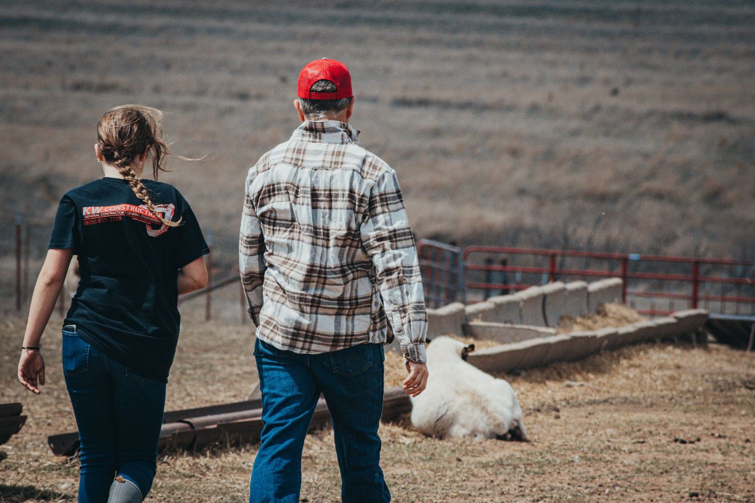 Two people walking near a white goat on a farm with fencing in the background.