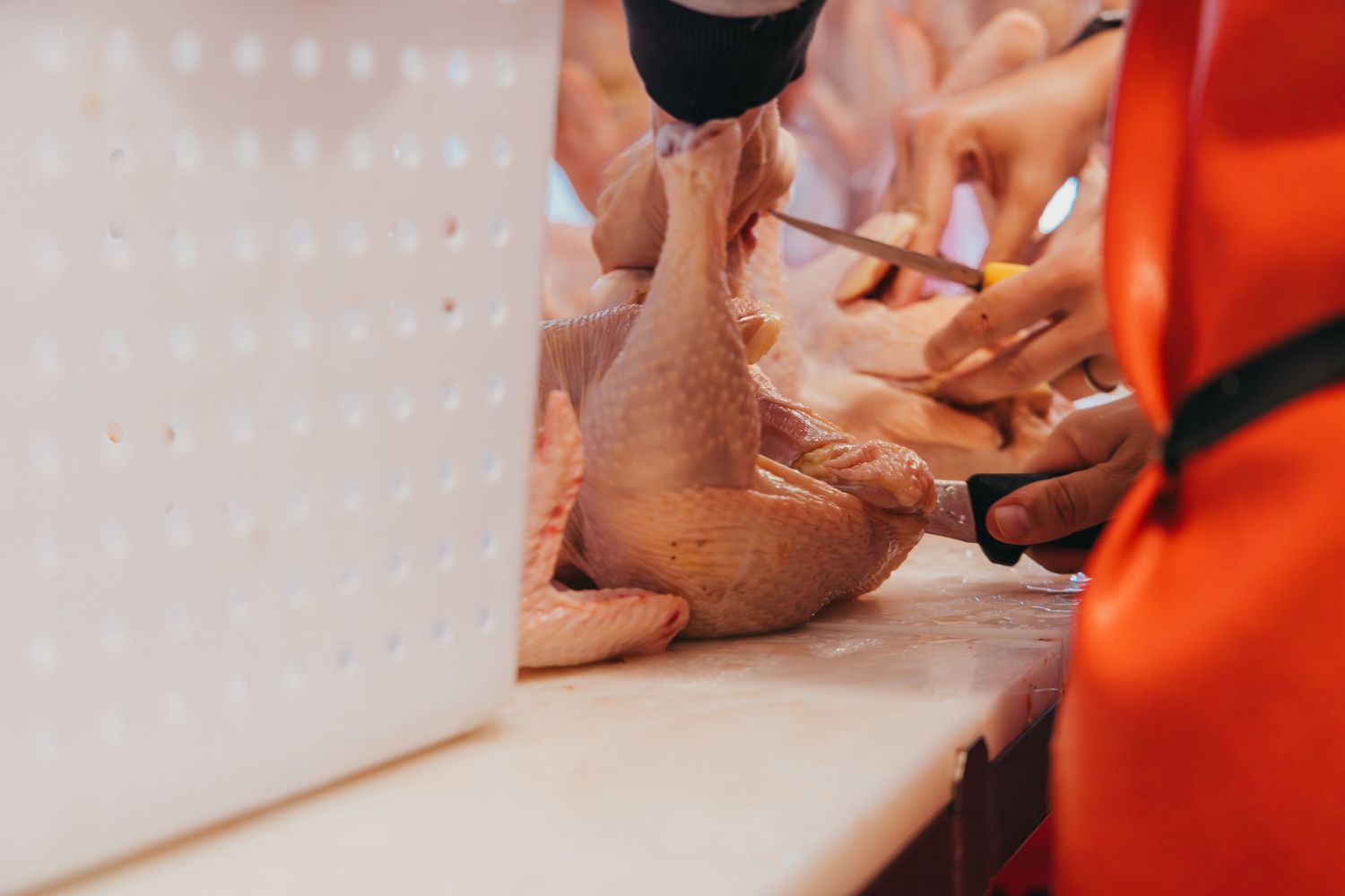 Close-up of hands processing raw poultry on a cutting surface.