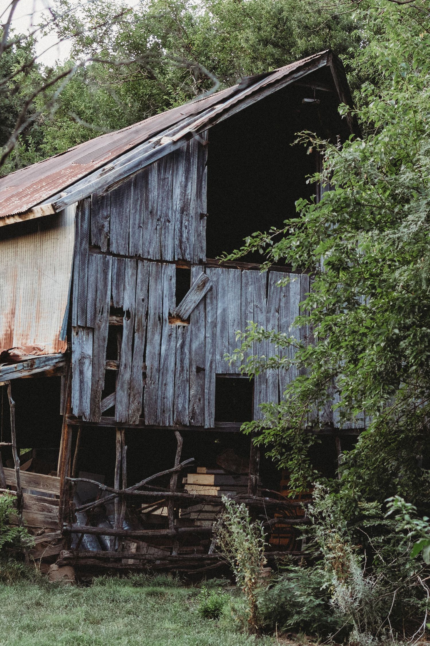 Weathered old wooden barn with peeling blue paint surrounded by overgrown vegetation.