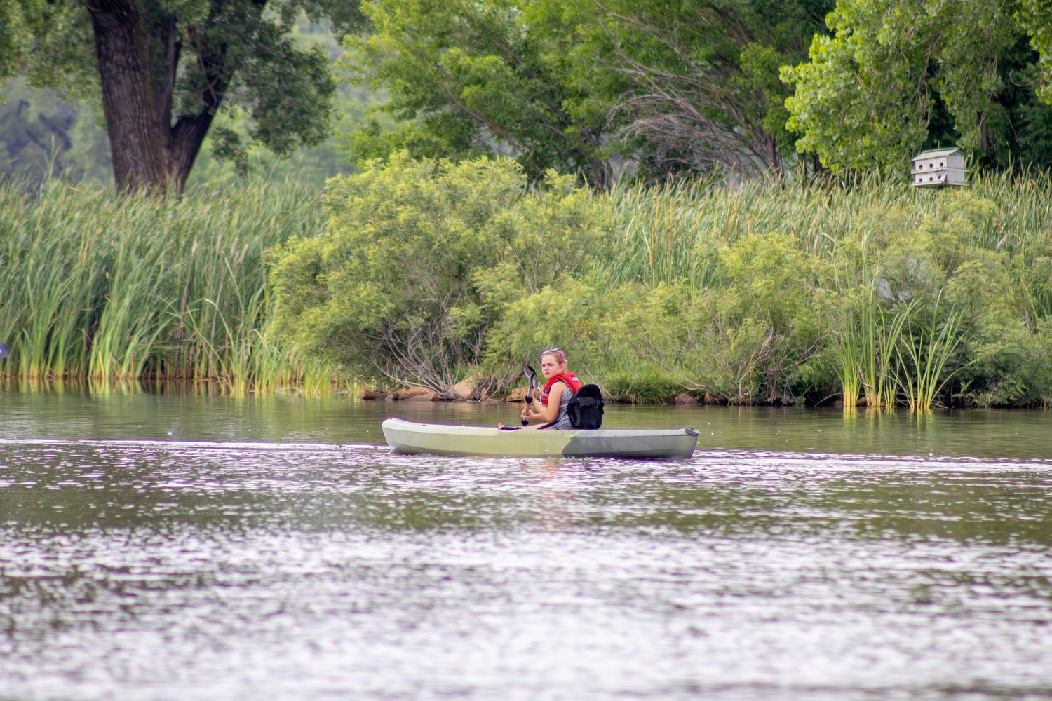 A kayak glides through calm waters near tall reeds and natural vegetation.