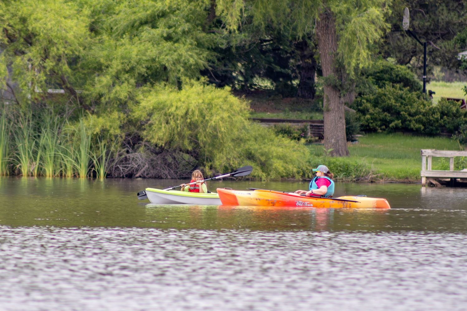 Two kayaks navigate through peaceful waters near a lush green shoreline with tall trees.