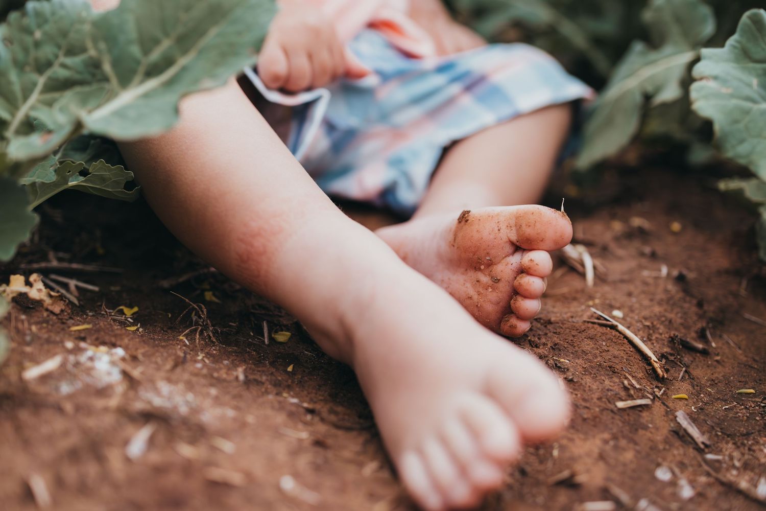 Close-up shot of small bare feet resting on dirt ground with leaves nearby.