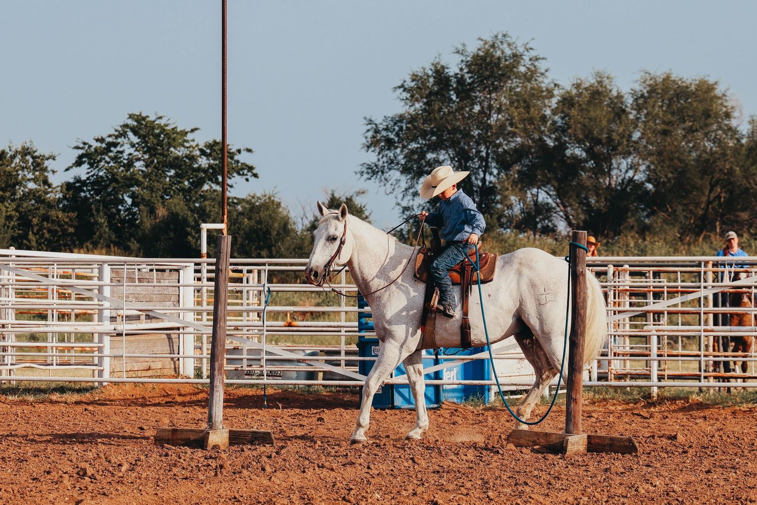 A rider on a white horse practices in a western riding arena with metal gates.