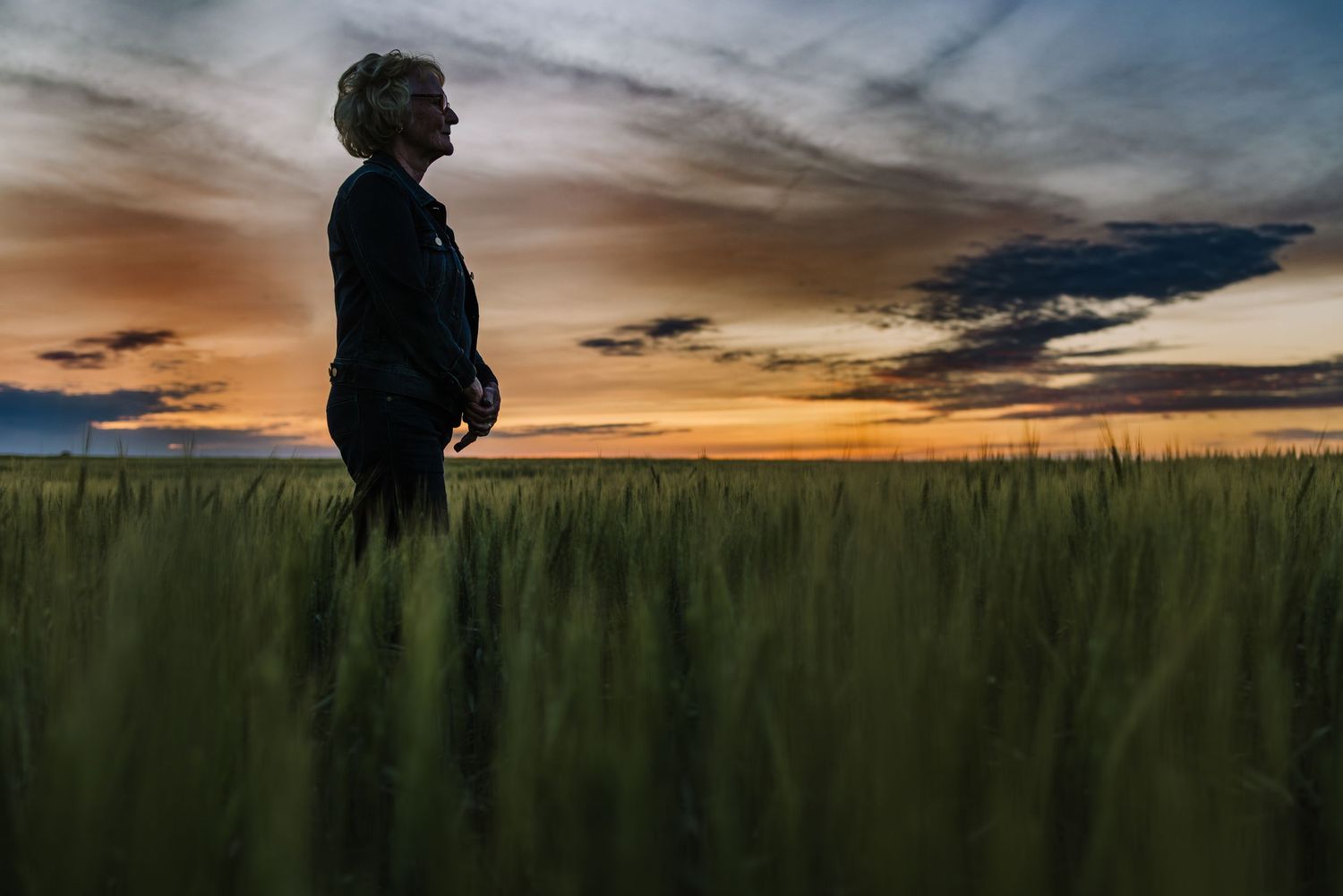 A silhouetted figure stands contemplatively in a wheat field against a dramatic orange and purple sunset sky.