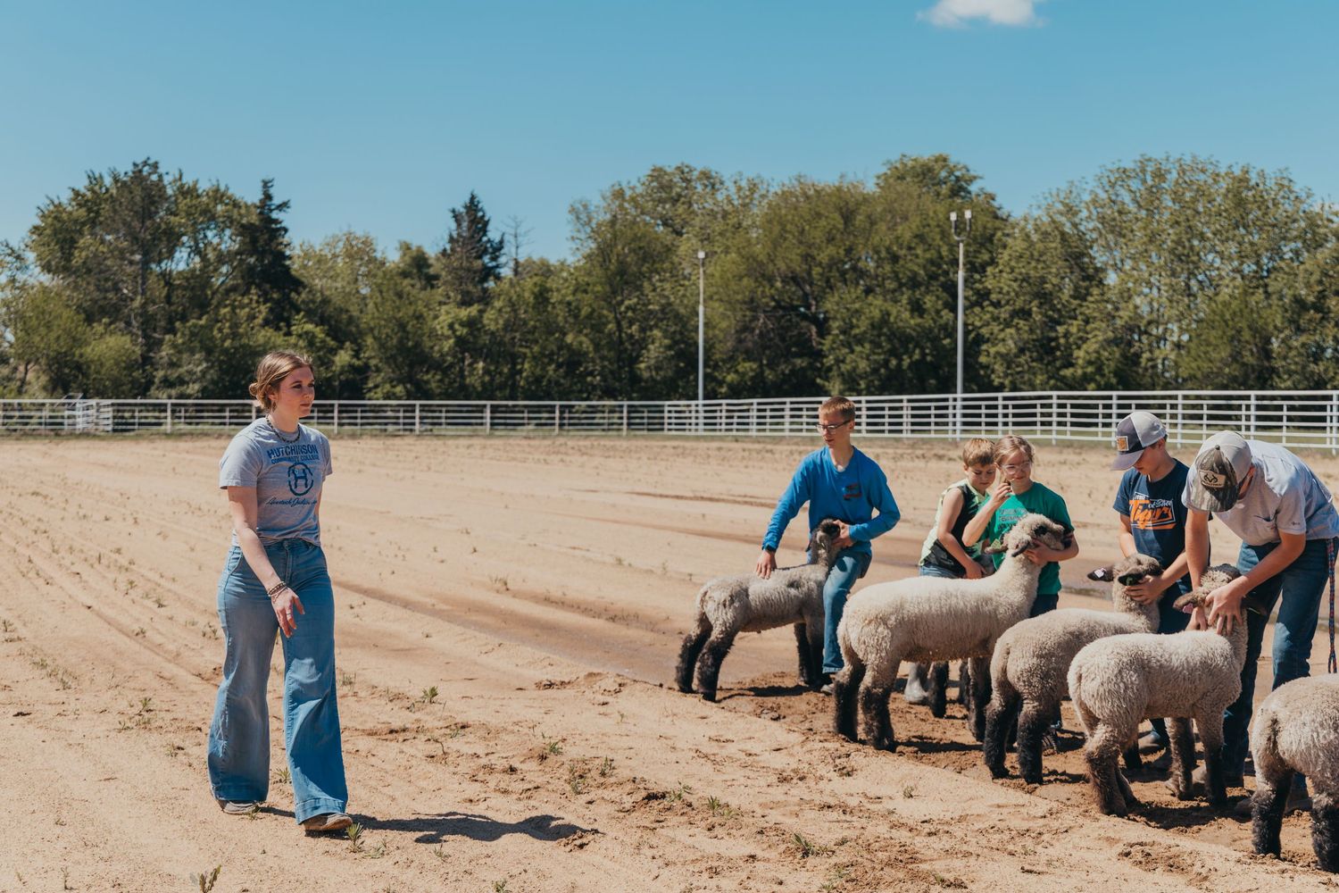 Handlers and their sheep gather in a dirt arena for training exercises.