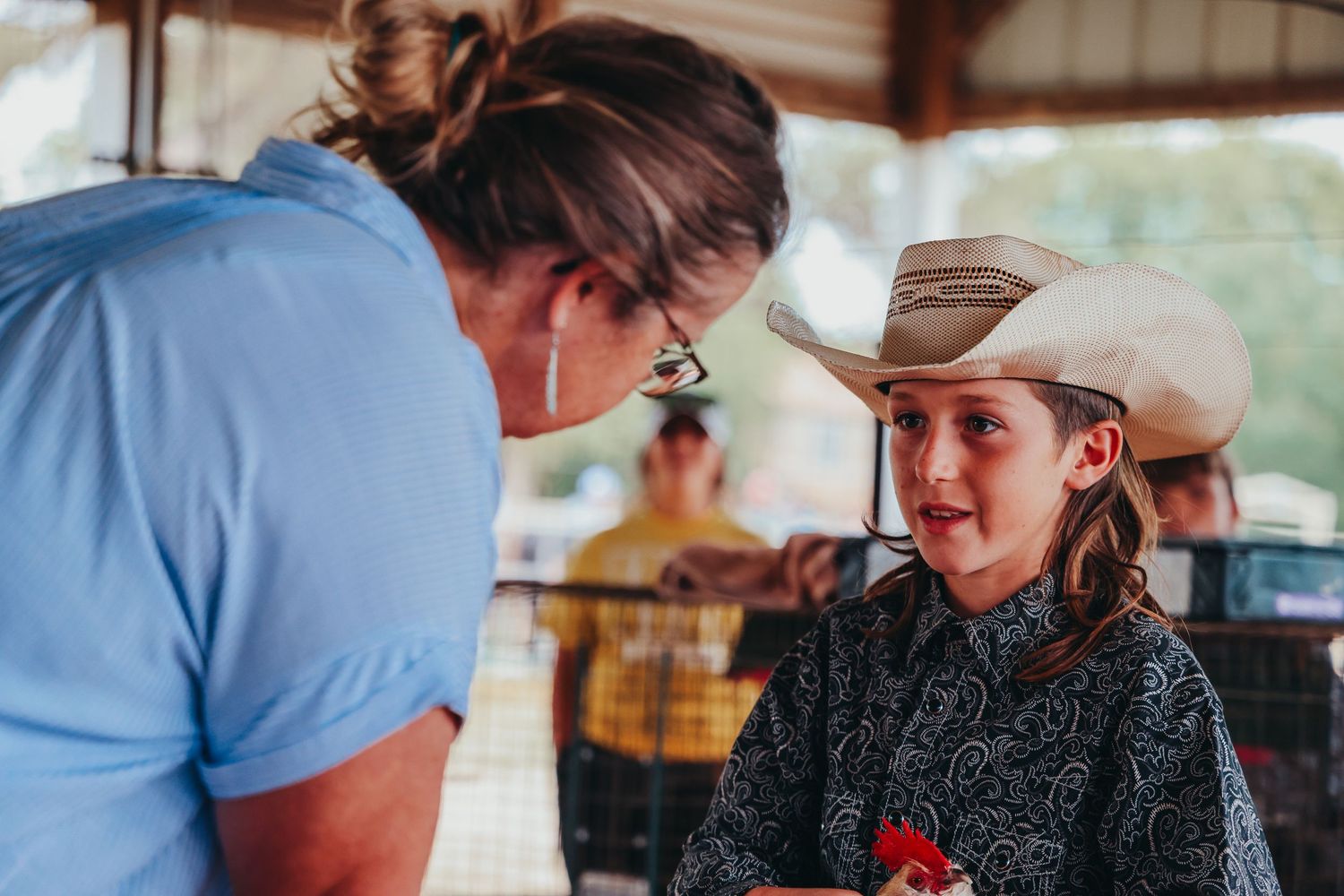 Participants at a county fair livestock event interact during judging competition.