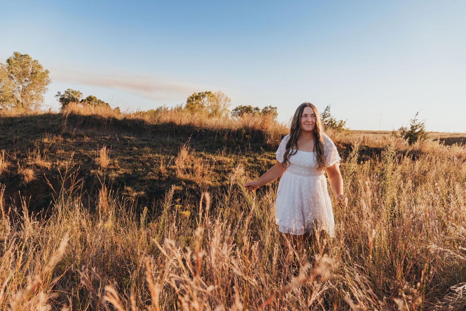 Panoramic series of golden hour photos in a rustic field with tall grass and warm sunset lighting.